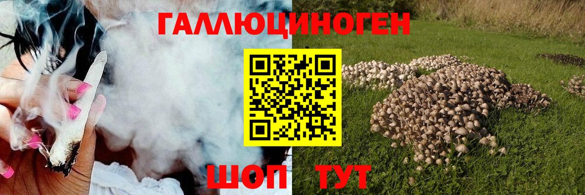 Галлюциногенные грибы Magic Shrooms Нижневартовск