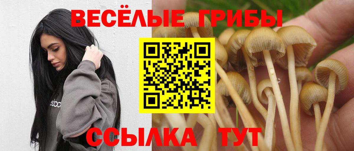 Галлюциногенные грибы GOLDEN TEACHER  Галлюциногенные грибы GOLDEN TEACHER  Вход с VPN  купить наркоту  Нижневартовск 